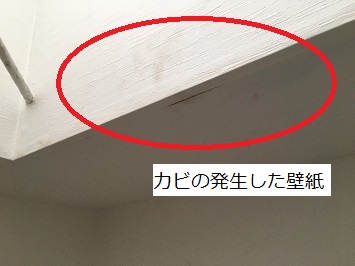 カビの生えた壁紙